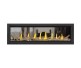 Napoleon Vector 62-inch See-Thru Direct Vent Natural Gas Fireplace