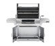 Napoleon Professional 605 Charcoal Portable Grill