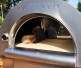 Pinnacolo Premio Wood Fired Outdoor Pizza Oven with Accessories