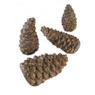 Real Fyre Ceramic Wilderness Pine Cones, 4 Assorted