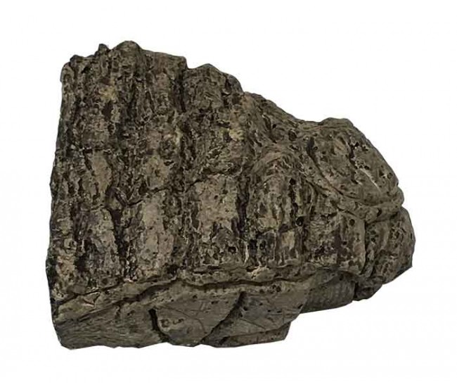 Real Fyre 1/2-inch Wood Chunk