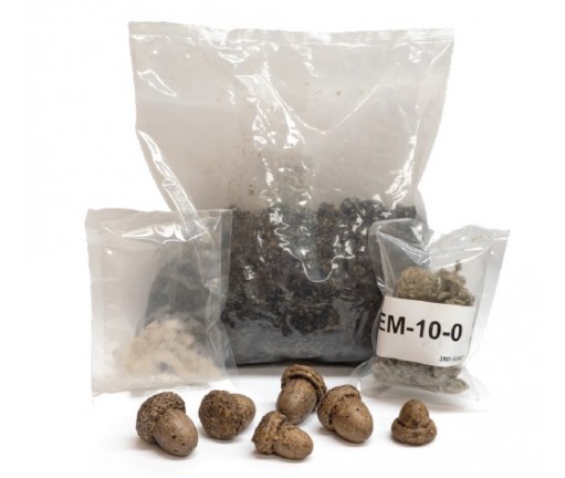 Real Fyre Vent-Free Refresh Kit