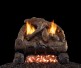 Real Fyre Evening Fyre Vent-Free Gas Log Set