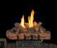 Real Fyre Split Valley Oak Vent-Free Gas Log Set
