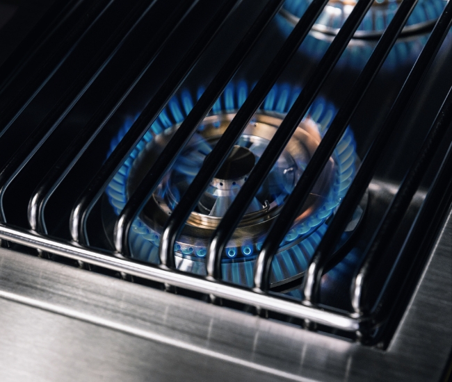 TrueFlame Double Side Burner