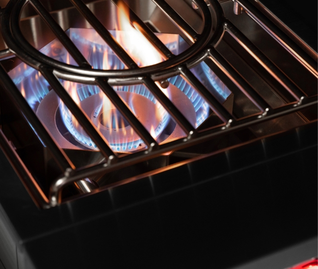 TrueFlame Power Burner