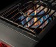 TrueFlame Power Burner