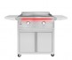 TrueFlame 30-inch Portable Griddle Grill | 2-burner