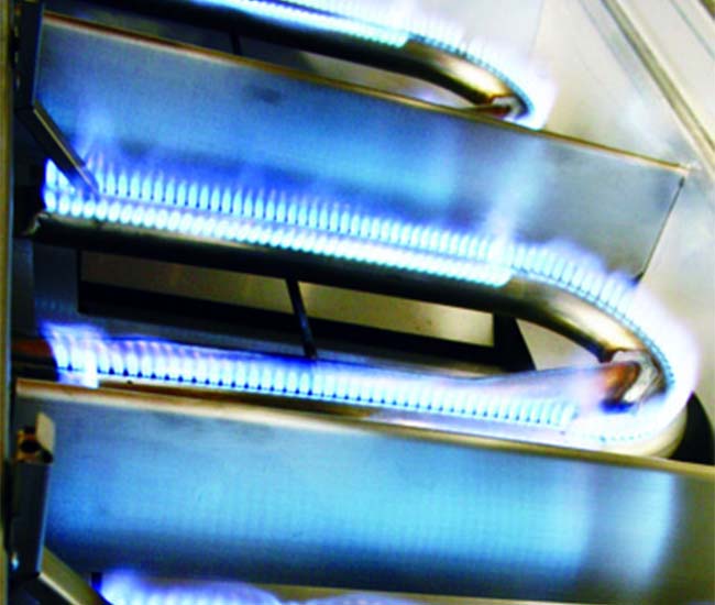 Twin Eagles 30-inch C Series Portable Gas Grill | 2-Burner