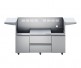 Twin Eagles 54-inch C Series Portable Gas Grill Twin Eagles 54-inch C Series Portable Gas Grill