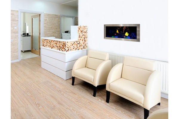 Dimplex Opti-V Built-in Aquarium Dimplex Opti-V Built-in Aquarium