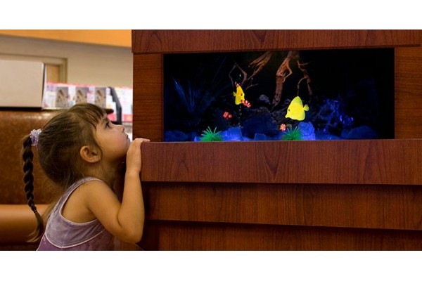 Dimplex Opti-V Built-in Aquarium Dimplex Opti-V Built-in Aquarium
