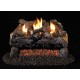 Real Fyre Evening Fyre Charred Logs with G18 See-Thru Vent Free Burner Real Fyre Evening Fyre Charred Logs with G18 See-Thru Vent Free Burner