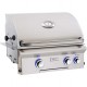 AOG 24-inch L Series Built In Grill With Rotisserie Backburner